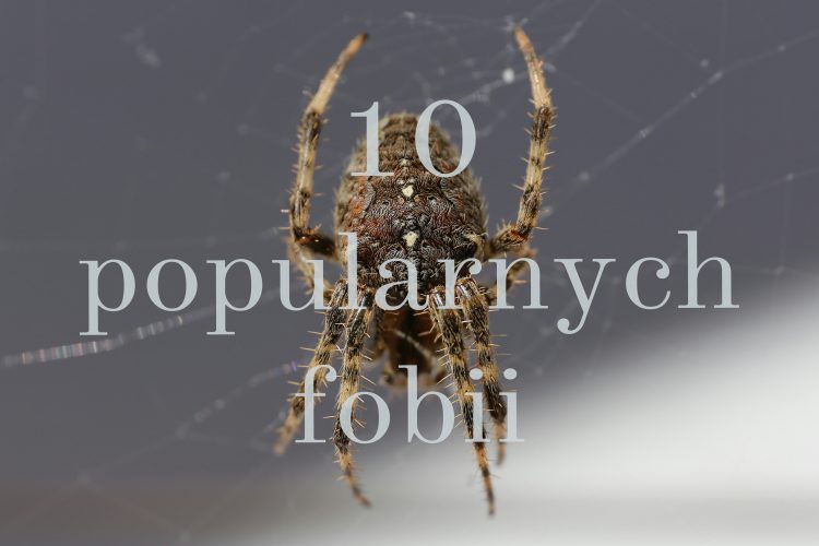 10_popularnych_fobii